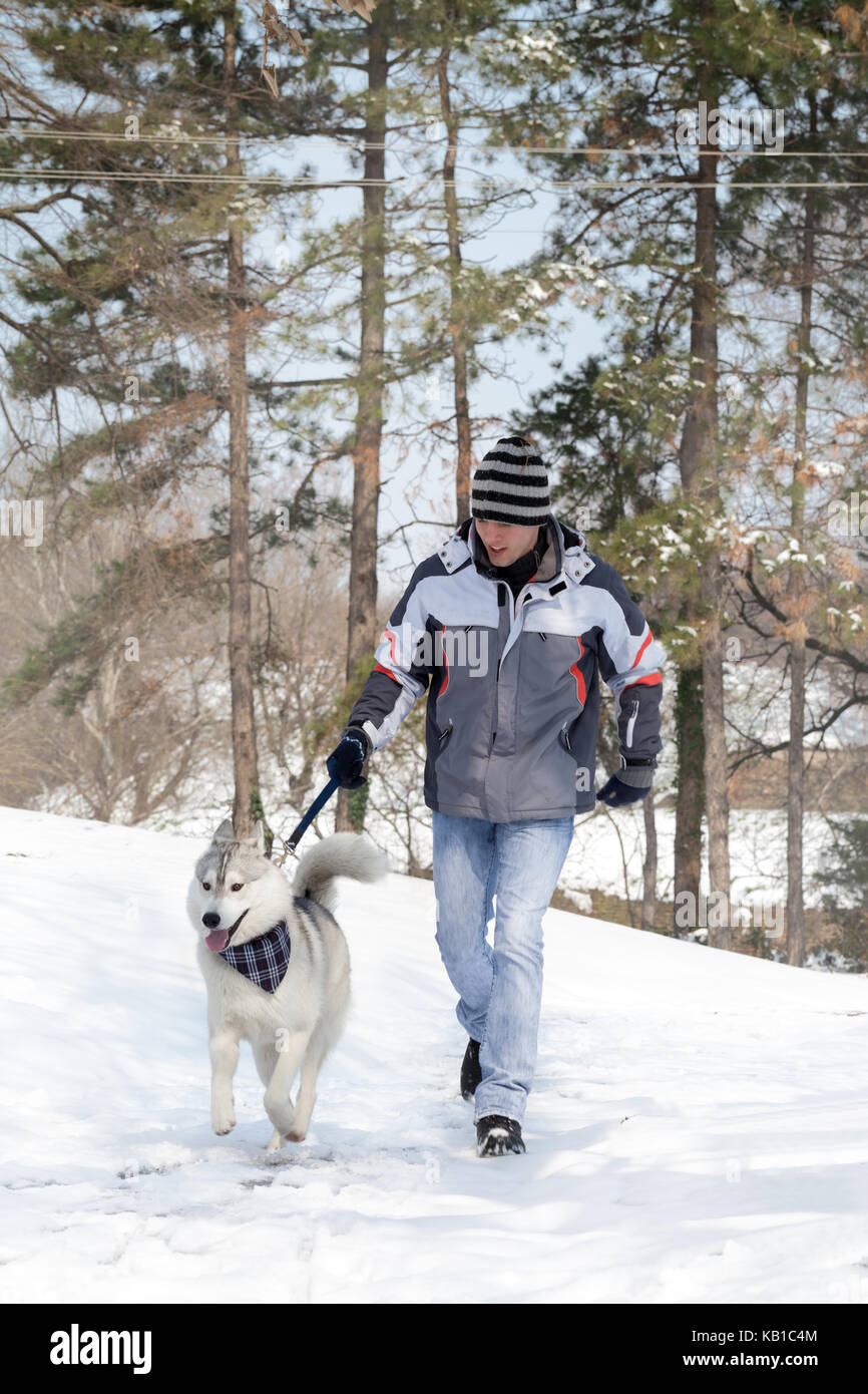 Yung man walking son chien husky dans la forêt enneigée Banque D'Images