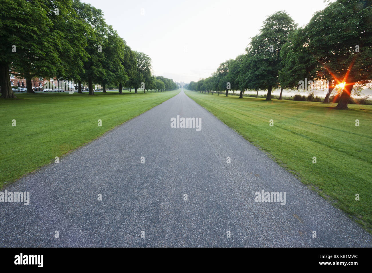 Angleterre, Berkshire, Windsor, château de Windsor, « The of long Walk », Banque D'Images