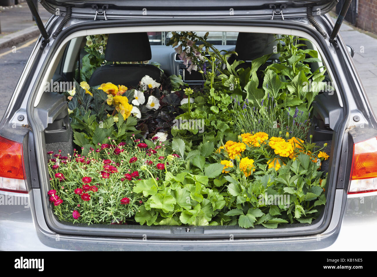 L'Angleterre, Londres, Columbia Road Flower Market, voiture, démarrage, complètement avec les plantes, Banque D'Images