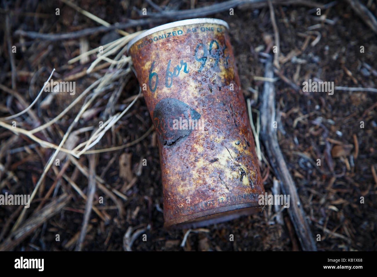 Un regal abandonnés peuvent la bière sur les rives du réservoir de Bridgeport, le 7 août 2017. Banque D'Images