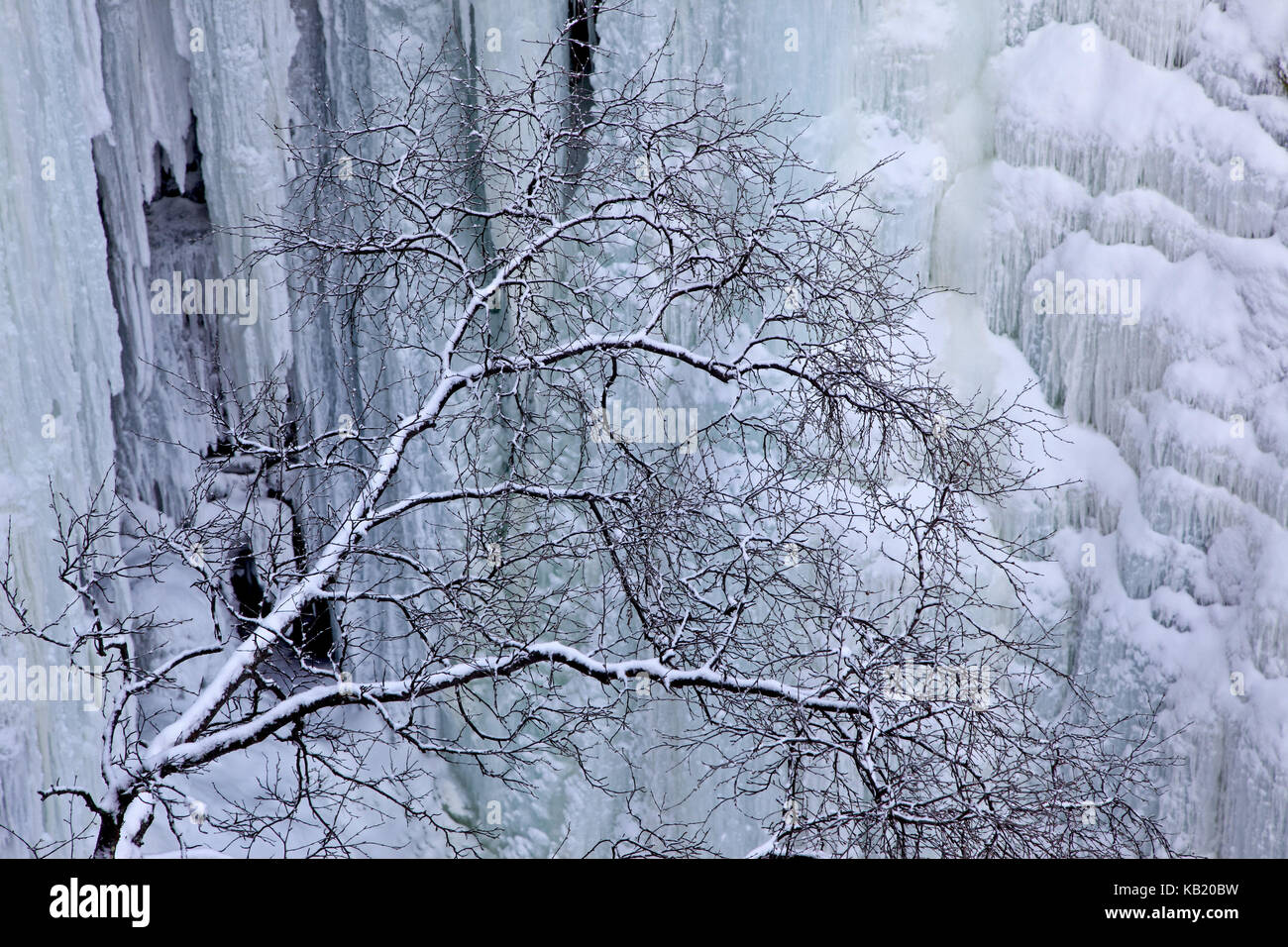La Suède, au nord, la Laponie suédoise, abisko canyon, Banque D'Images