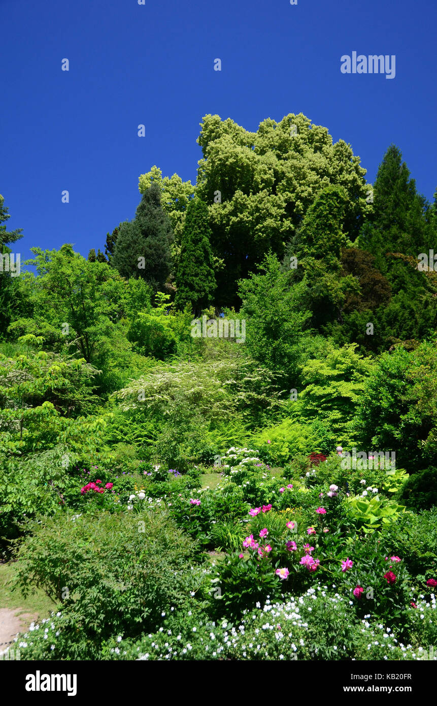 Allemagne, Bade-Wurtemberg, lac de Constance, île mainau, parc, Banque D'Images