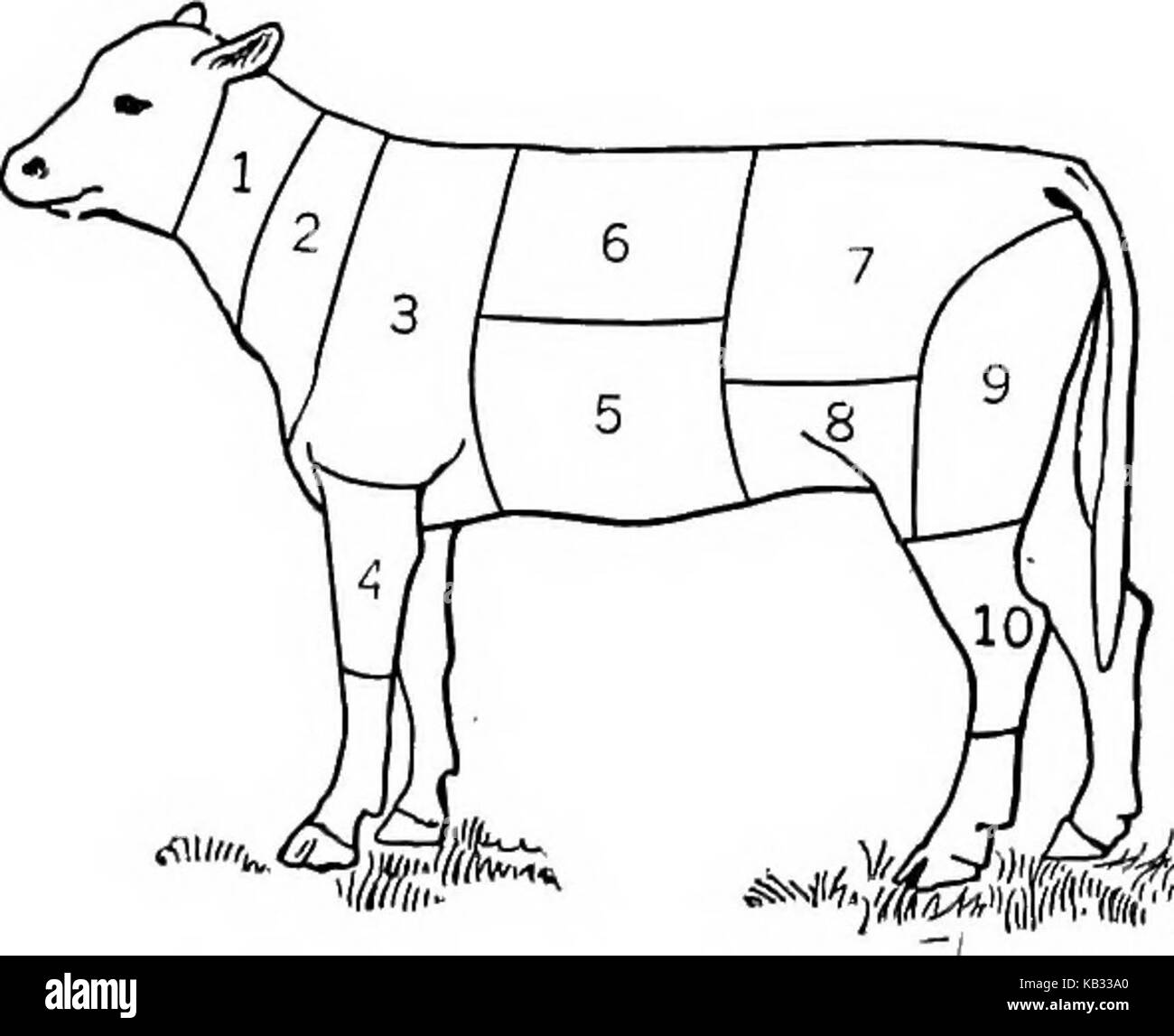 "La nourriture ; sa composition et préparation ; un manuel pour les classes de sciences domestiques' (1918) Banque D'Images