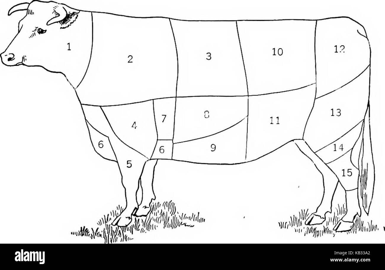 "La nourriture ; sa composition et préparation ; un manuel pour les classes de sciences domestiques' (1918) Banque D'Images