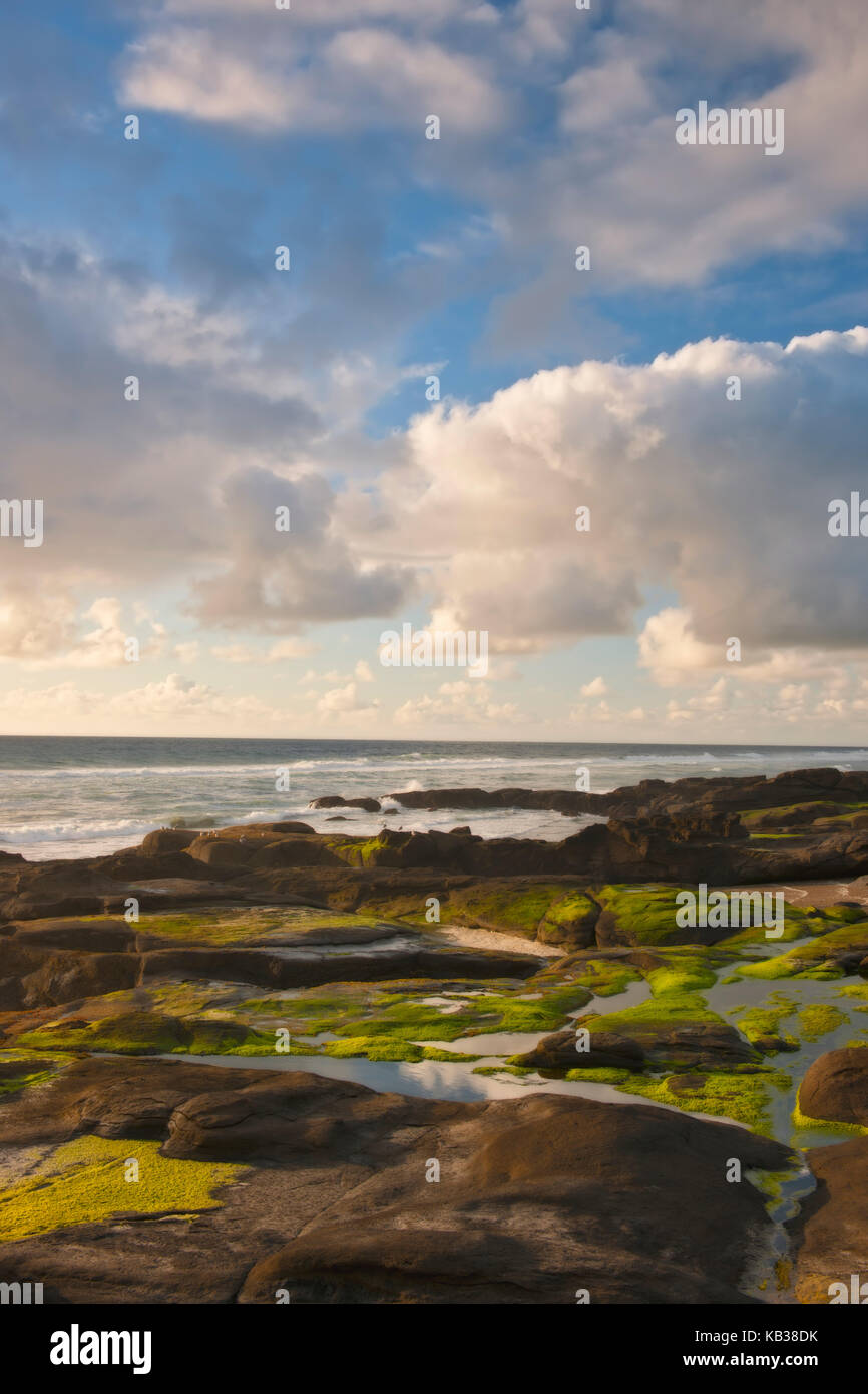 La chaleur du soir, sunbreaks sur le littoral de l'Oregon est le basalte côte centrale à Yachats. Banque D'Images