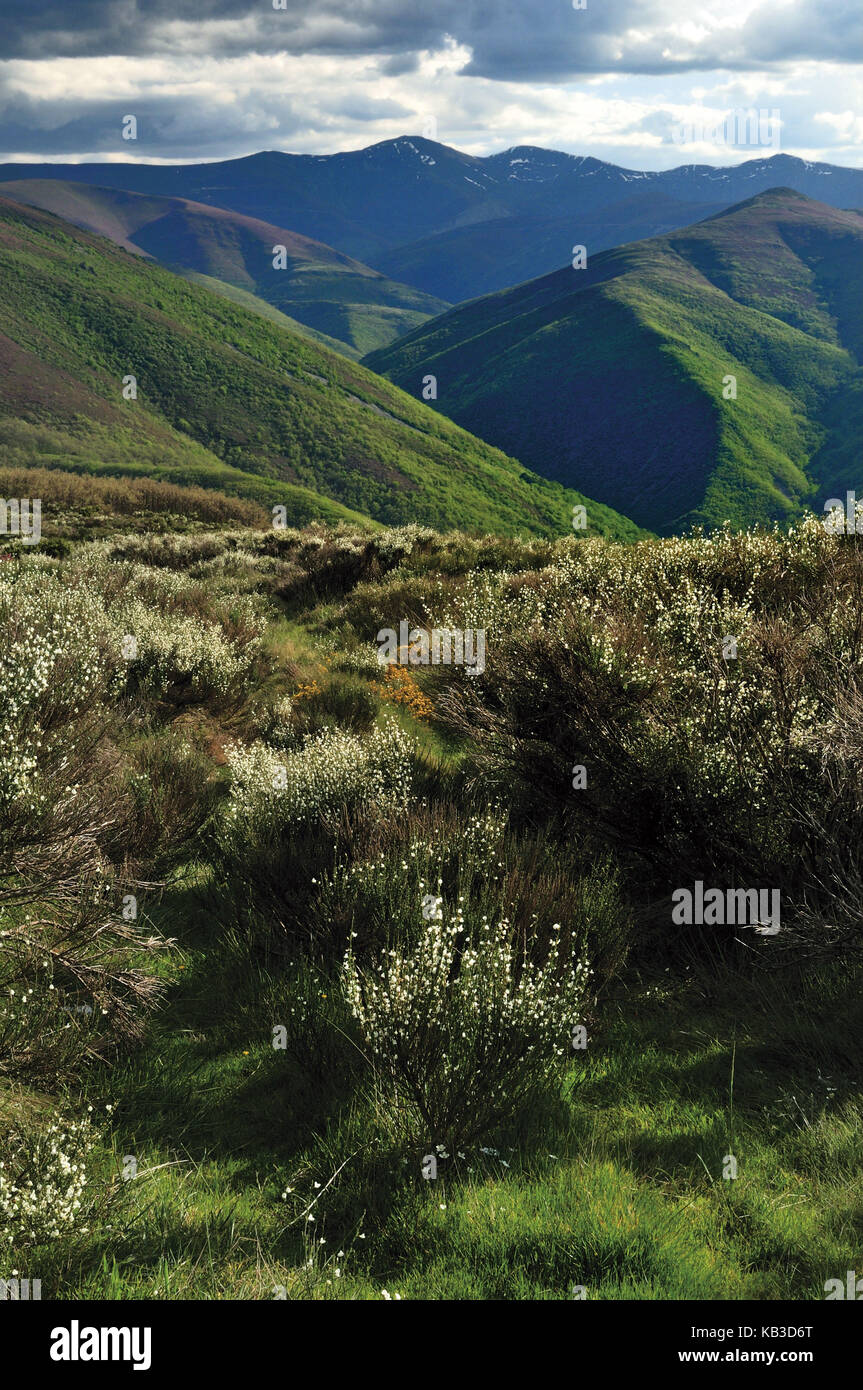 Espagne, Kastilien-Leon, panorama de montagne des Montes de Leon sur les Camino Frances, Banque D'Images