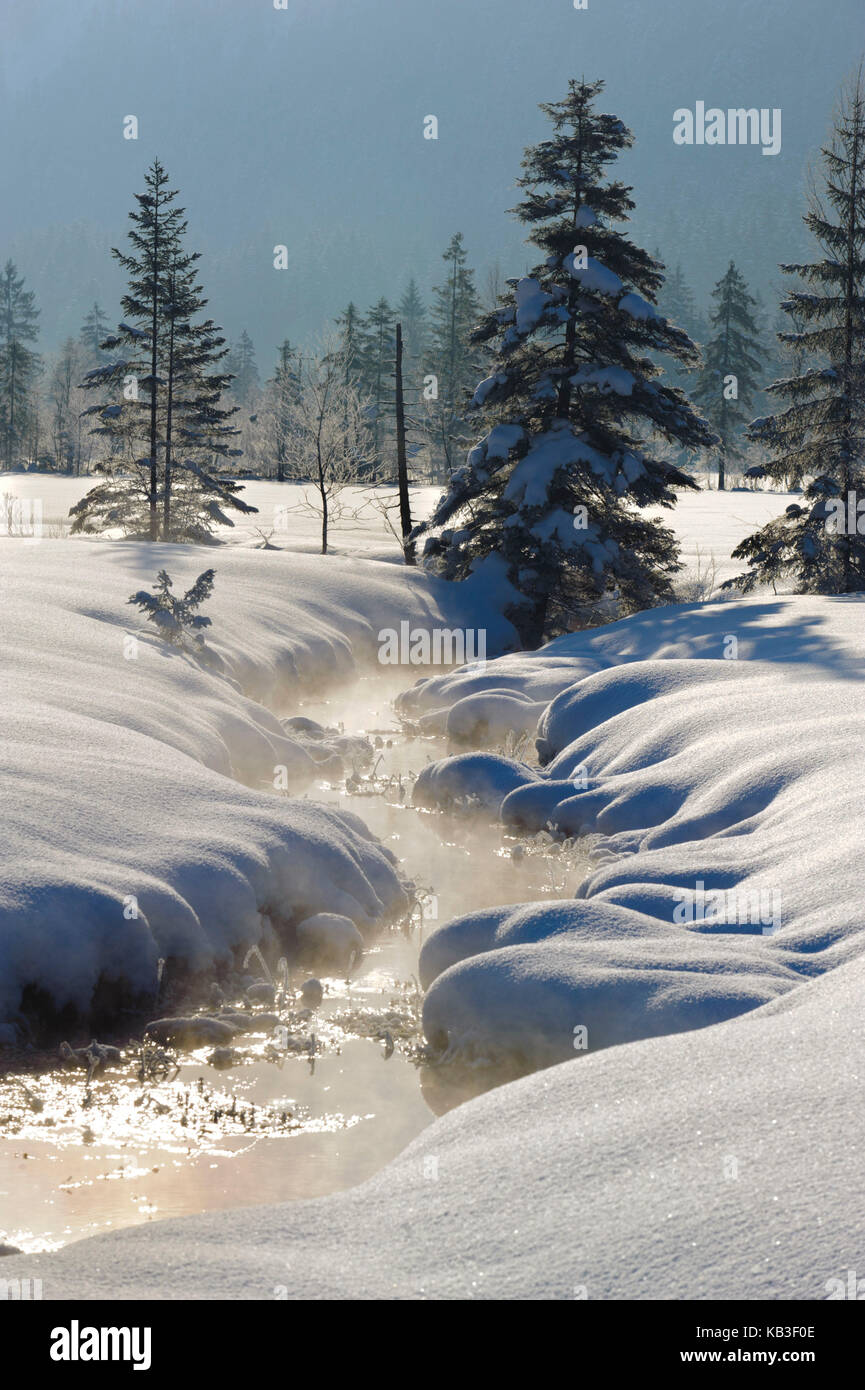 Cours supérieur de l'Ammer dans le Graswangtal près de Oberammgergau Banque D'Images