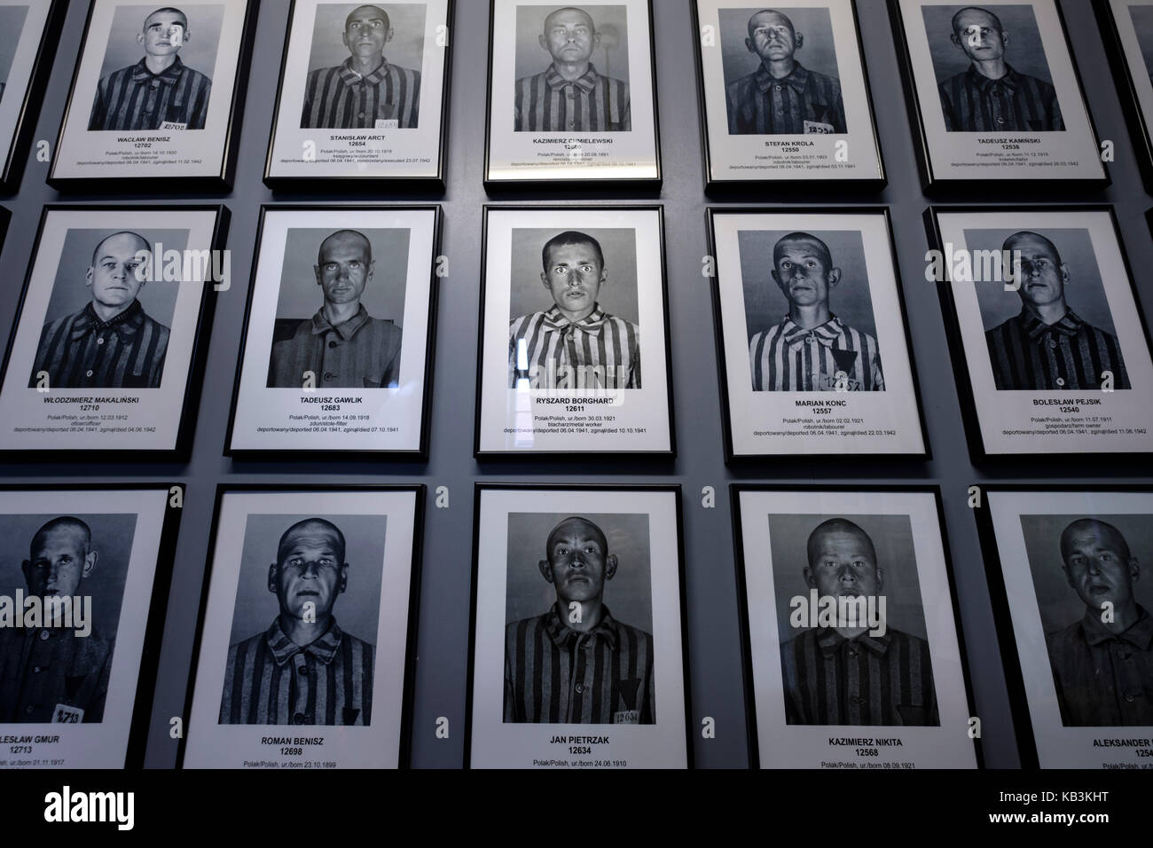 Portraits de prisonniers d'Auschwitz au musée du camp de concentration Nazi, Pologne Banque D'Images