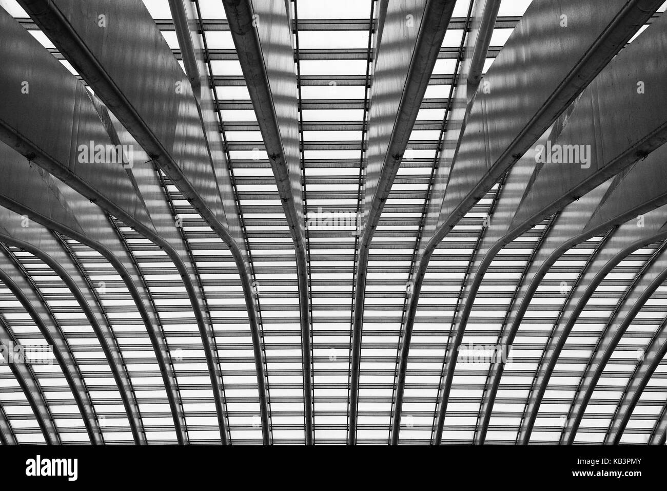 Abstract view sur le plafond de la gare de Liège en noir et blanc Banque D'Images