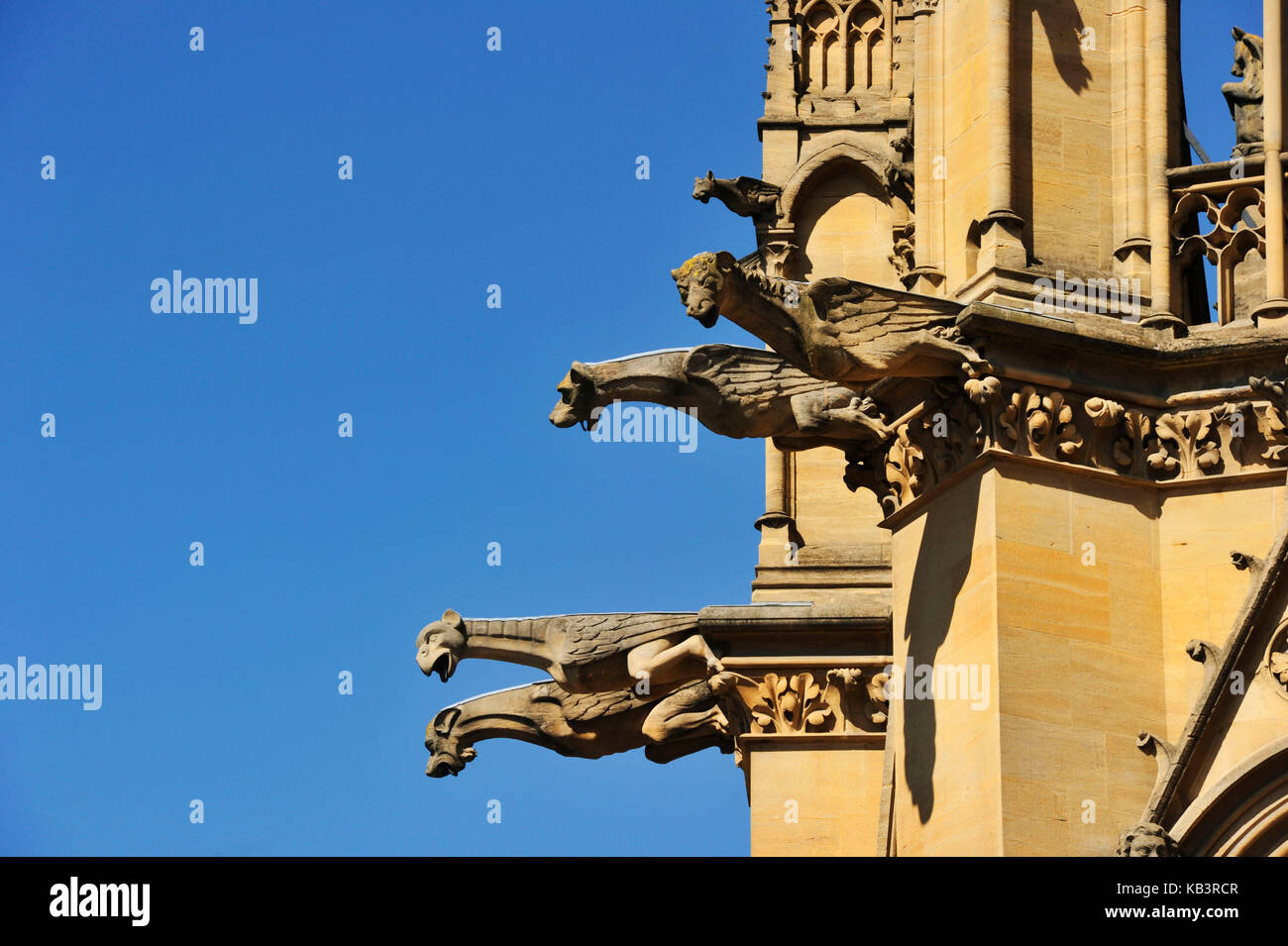 France, Moselle, Metz, cathédrale st etienne Banque D'Images