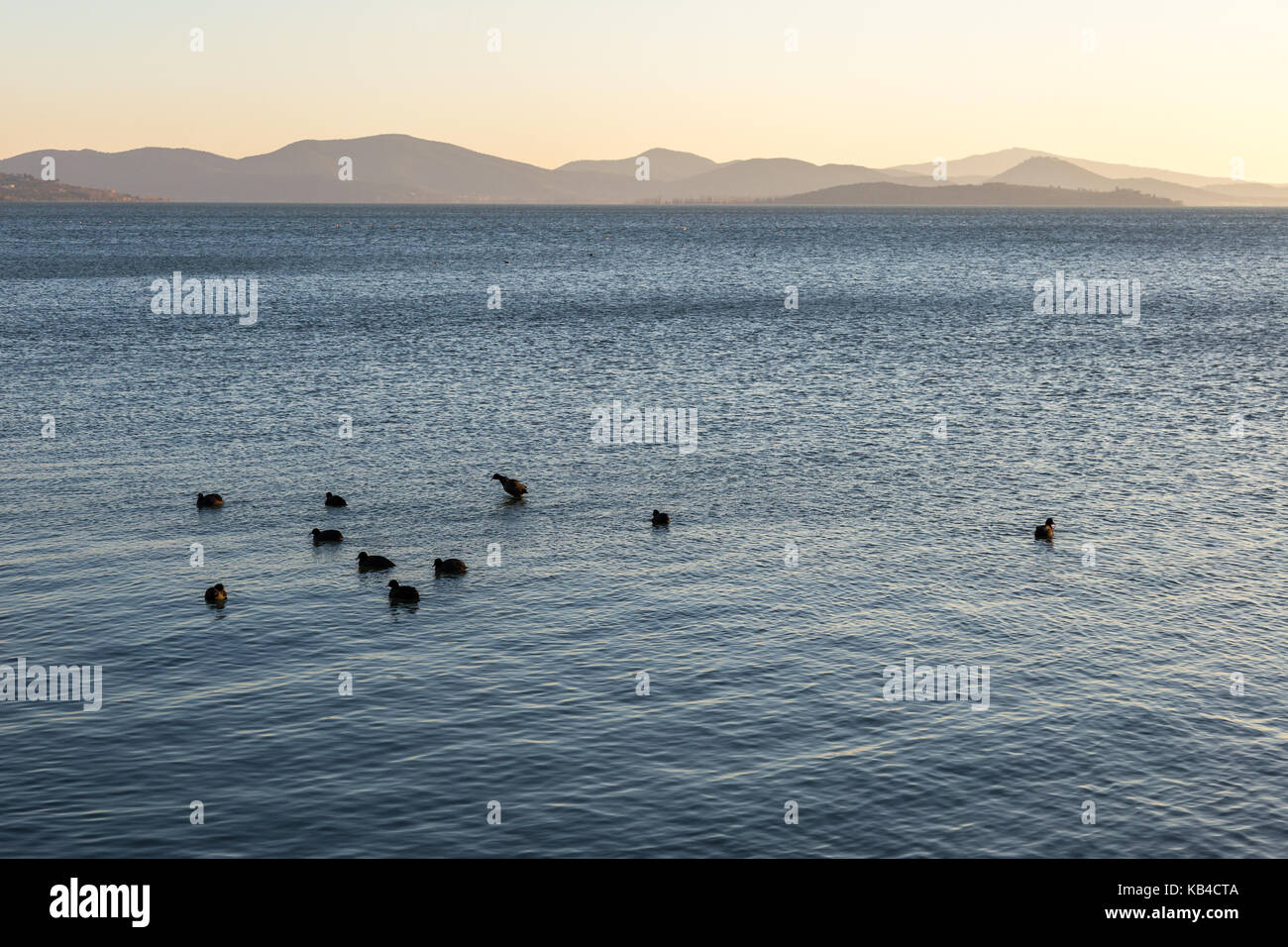 Un lac au coucher du soleil, avec quelques canards sur l'eau bleue et les collines au loin et tons chaleureux à la distance Banque D'Images