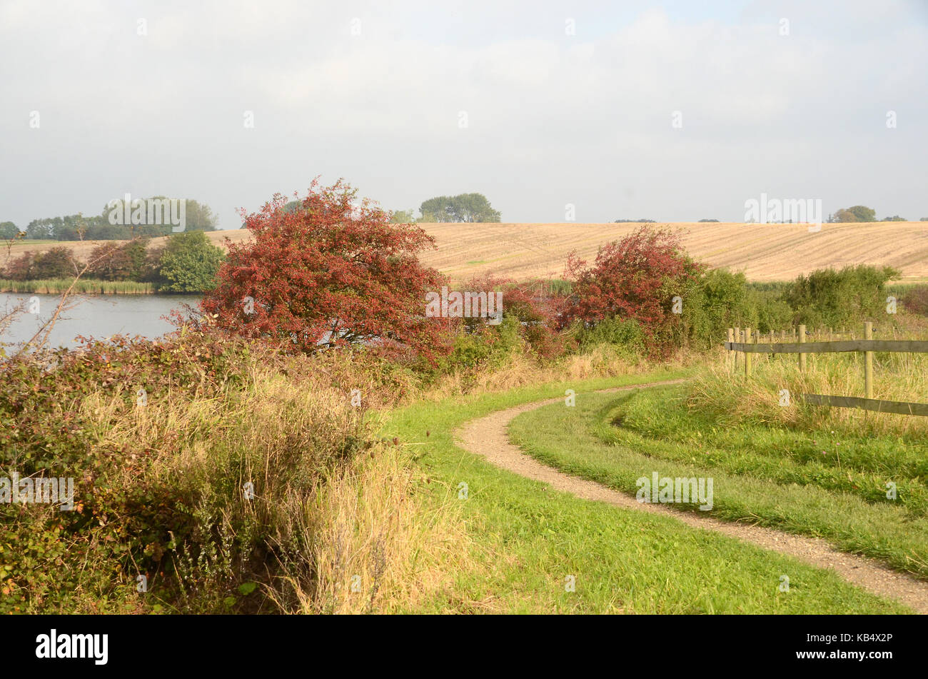 Paysage le long de la 'voie' gendarmstien gendarme dans le sud du Danemark. Banque D'Images