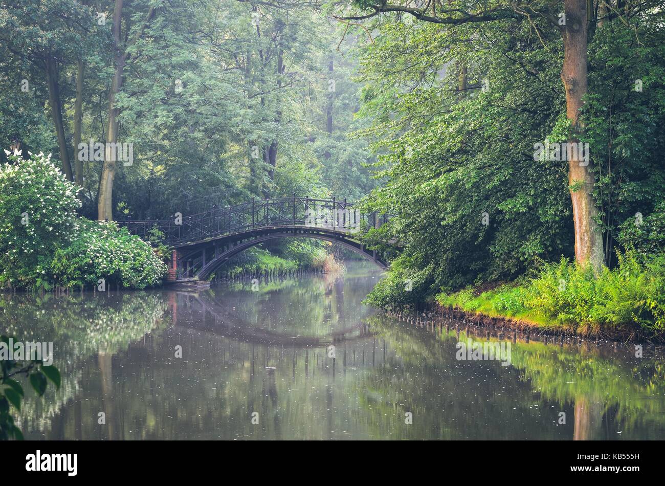 Green Park le matin. pont dans un beau parc de Torun, Pologne. Banque D'Images