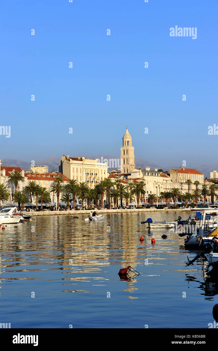 Croatie, côte dalmate, Split, vieille ville romaine classée au patrimoine mondial de l'UNESCO et Riva (ou promenade en bord de mer) bordée de palmiers Banque D'Images