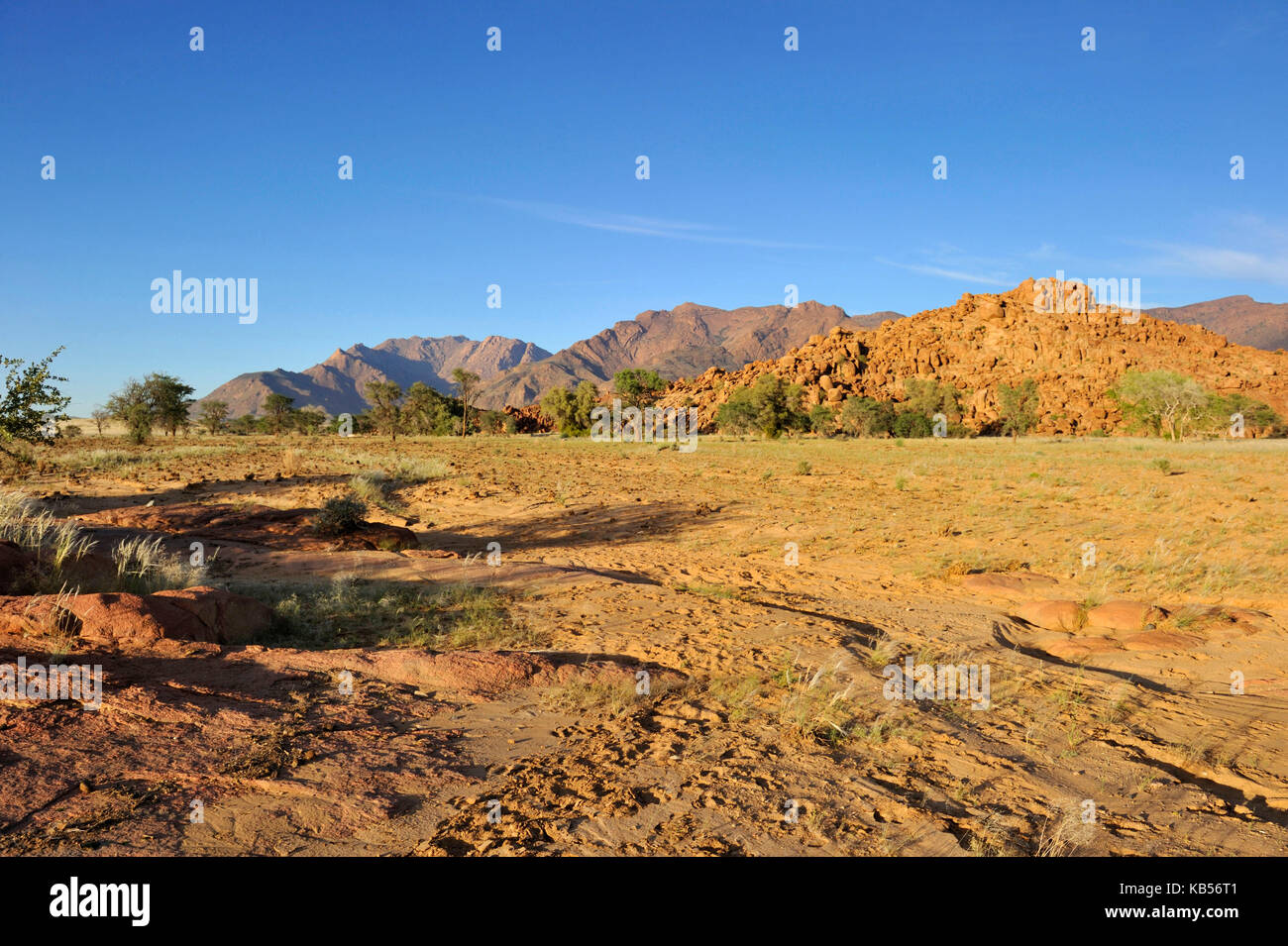 La Namibie, erongo, damaraland, et la vallée de la rivière ugab brandberg Banque D'Images