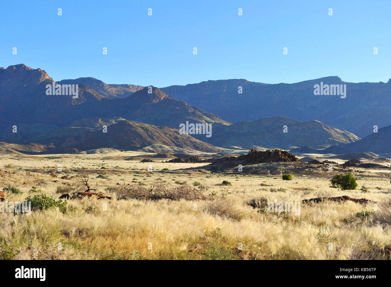 La Namibie, erongo, damaraland, et la vallée de la rivière ugab brandberg Banque D'Images