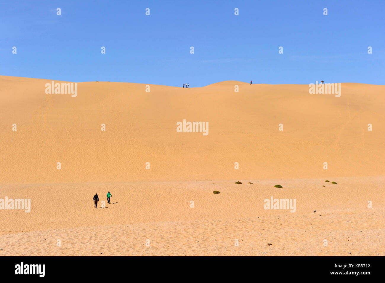 Swakopmund, erongo, Namibie, Long Beach, dunes de sable dans le désert de Namib Banque D'Images