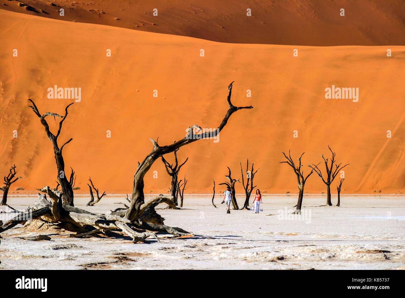 Hardap namibie, désert du Namib, le Namib-naukluft, parc national, les dunes de Sossusvlei, dead vlei Banque D'Images