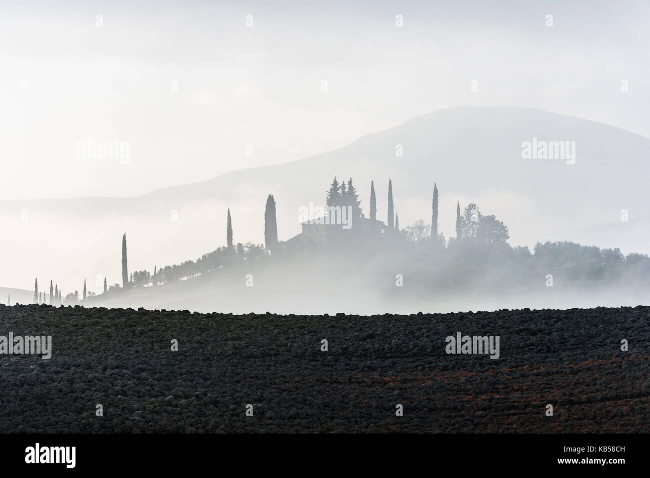 Toscane gris terre labourée et distant des cyprès autour d'une villa, disparaissant dans la brume Banque D'Images