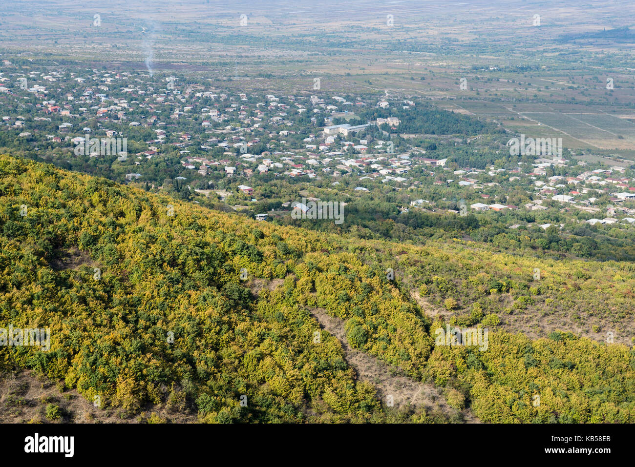 Vallée de l'Alazani, forêt, arbres, kakhétie, Géorgie, Sighnaghi, ville, colline, vue d'en haut Banque D'Images