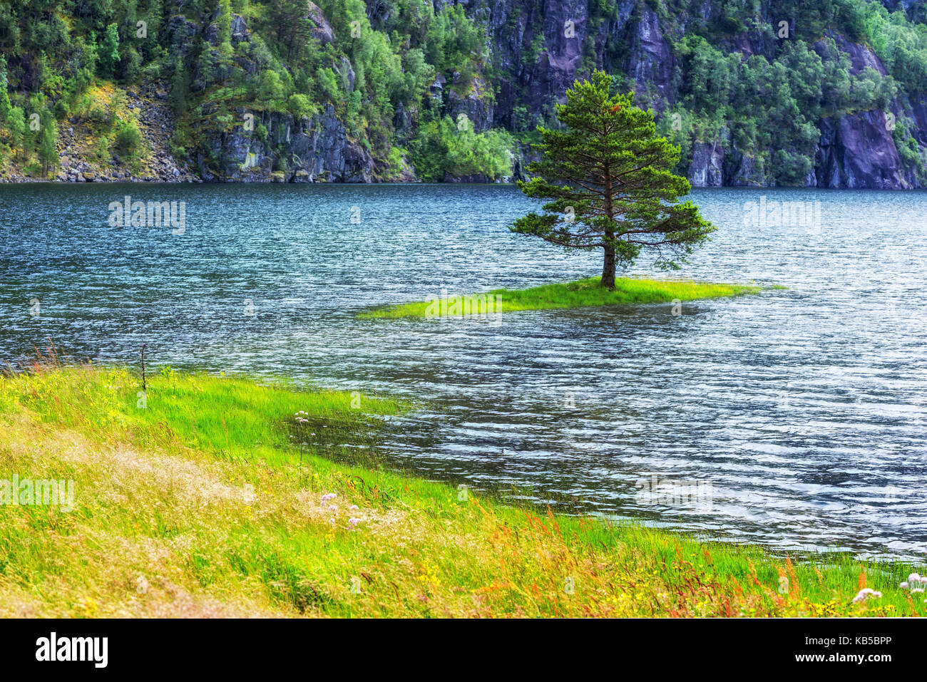 Petite île avec arbre seul Banque D'Images