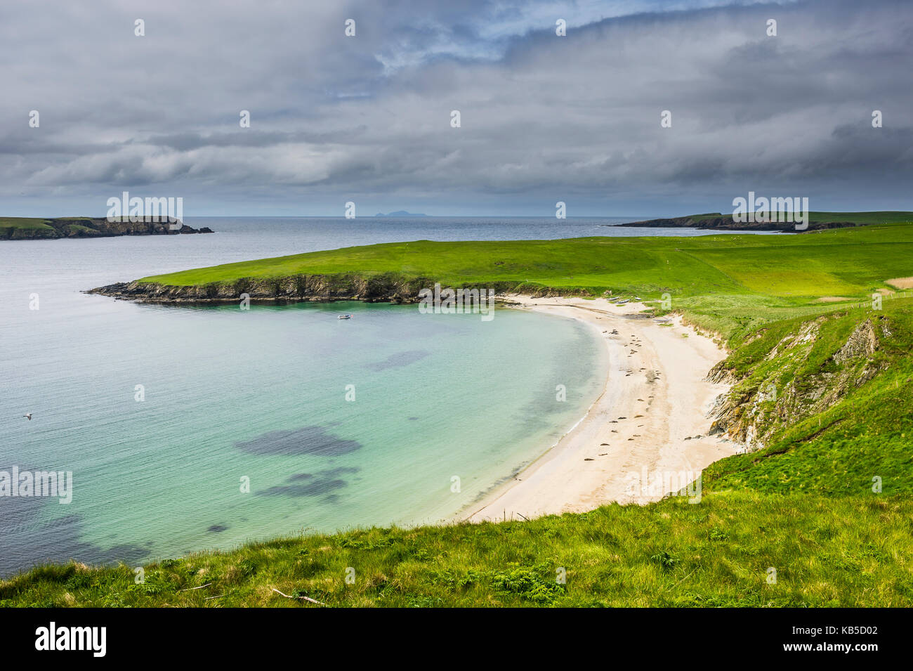 Plage de sable blanc près de scousburgh, Shetland, Écosse, Royaume-Uni, Europe Banque D'Images