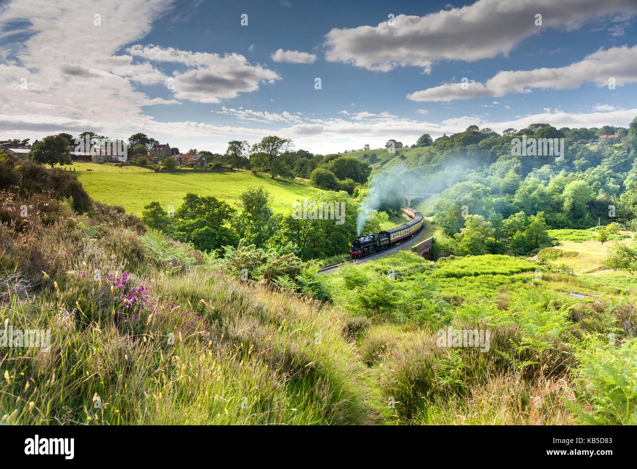 Une locomotive à vapeur à darnholme sur la ligne de chemin de fer du Yorkshire du nord en provenance de Whitby à Pickering, Yorkshire, Angleterre, Royaume-Uni Banque D'Images