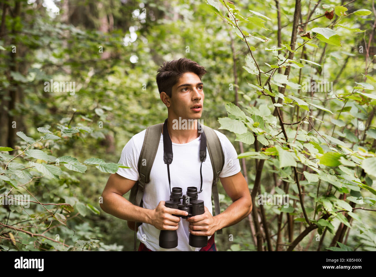 Adolescent avec des jumelles randonnées en forêt. vacances d'été. Banque D'Images