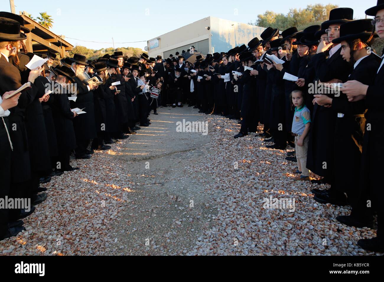 Tel Aviv, Israël. 28 sep, 2017. Des juifs ultra-orthodoxes effectuer le rituel tachlikh sur la rive de la mer méditerranée à palmachim près de Tel Aviv, Israël, sur sept. 28, 2017. tachlikh est un rituel au cours duquel les croyants avec leurs péchés dans l'eau et des poissons, et il est effectué avant Yom Kippour, le jour du grand pardon juif. crédit : gil cohen magen/Xinhua/Alamy live news Banque D'Images