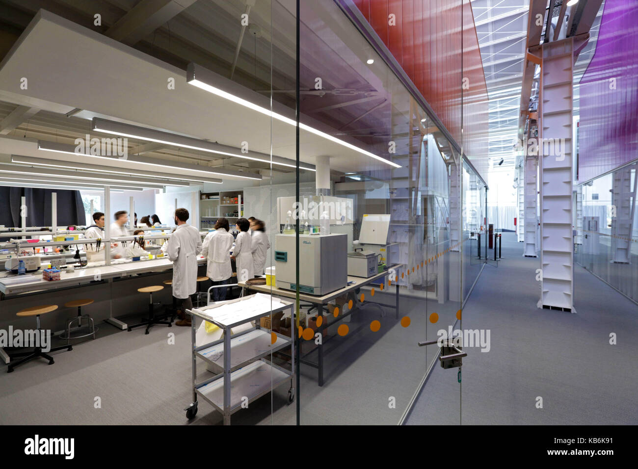 L'opificio golinelli, un musée-laboratoire de la connaissance scientifique réalisée en 2015 sur la commission de la fondation golinelli. photo labs pour stu Banque D'Images