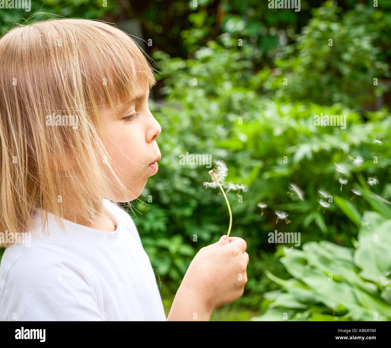 Little girl blowing dandelion fleur dans un jardin d'été Banque D'Images