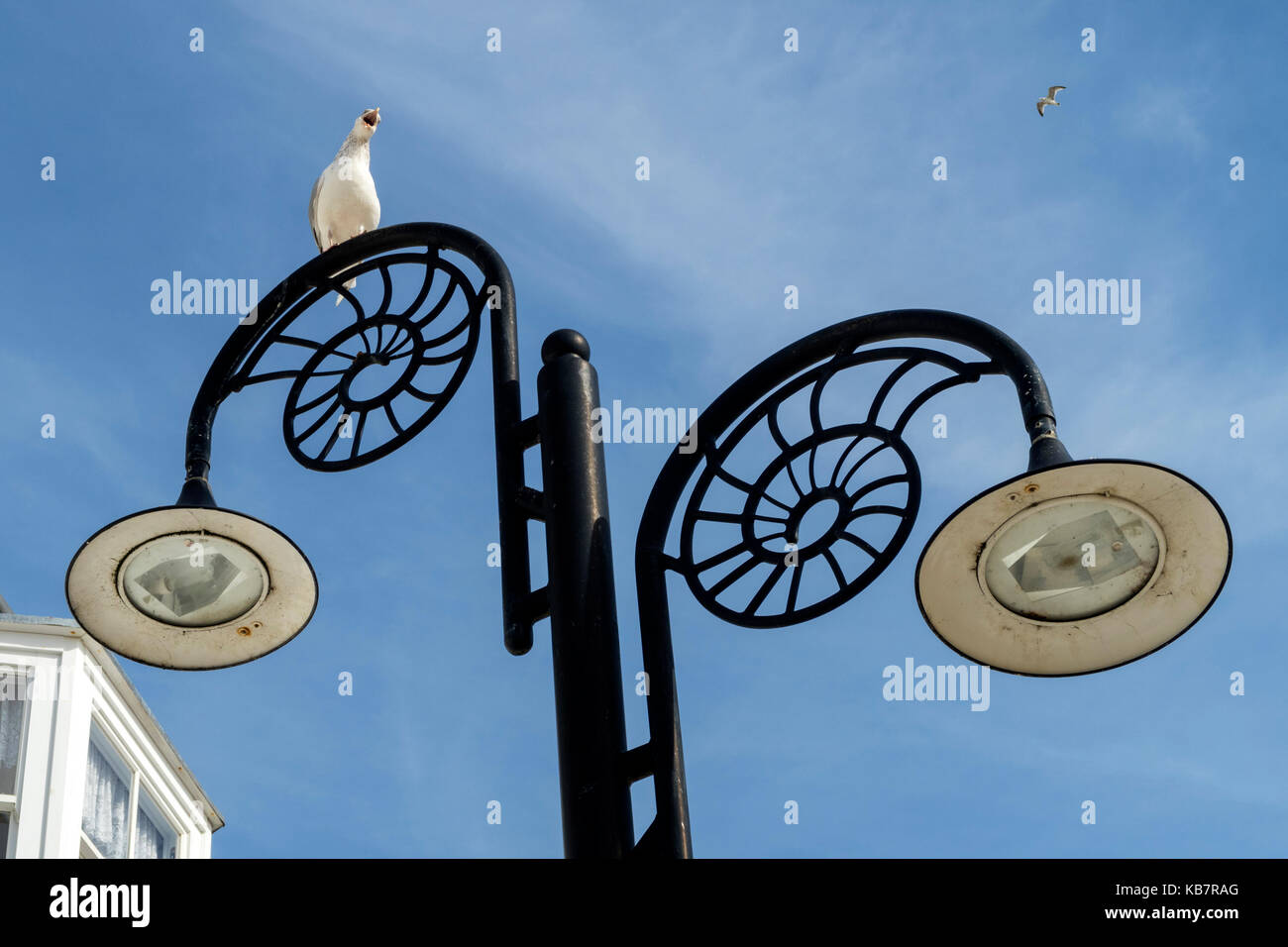 Une mouette en haut d'un lampadaire décoratif à Lyme Regis, dans le Dorset. Banque D'Images