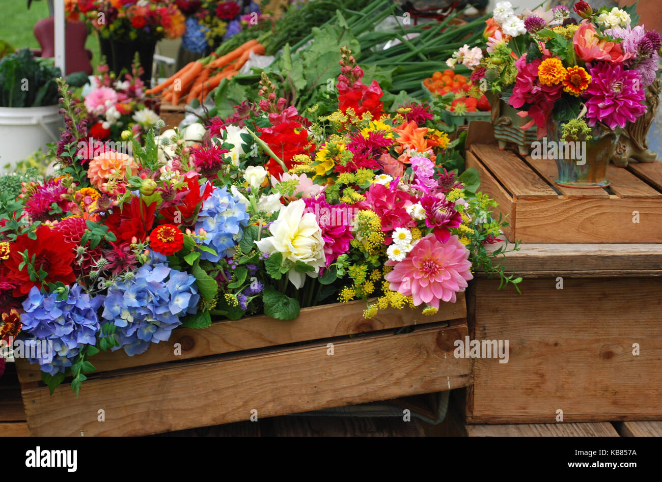 Les fleurs coupées au Farmers Market Banque D'Images