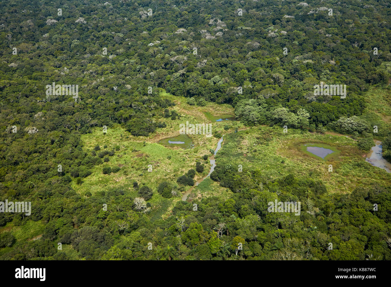 Forêt tropicale, Parc national d'Iguaçu par les chutes d'Iguaçu, État de Parana, Brésil, Amérique du Sud - aérien Banque D'Images