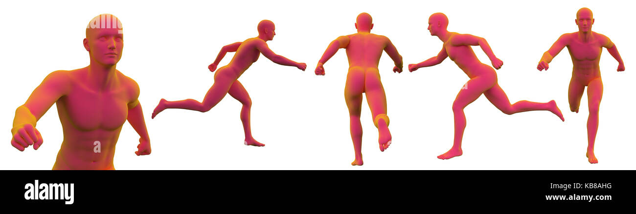 Le rendu 3d illustration médicale de la morphologie masculine Banque D'Images