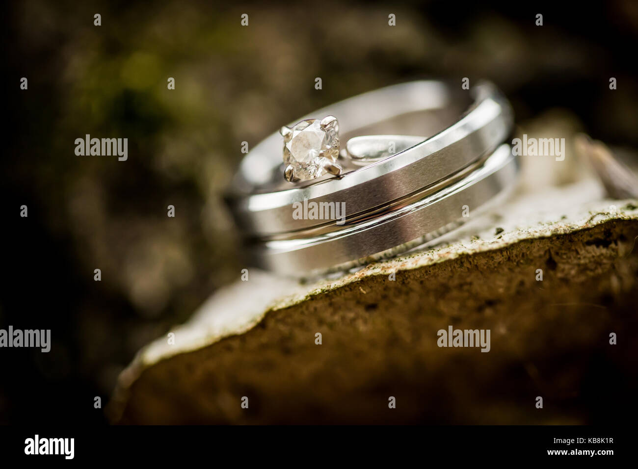 Anneau de mariage dans un parc naturel, la terre. Banque D'Images