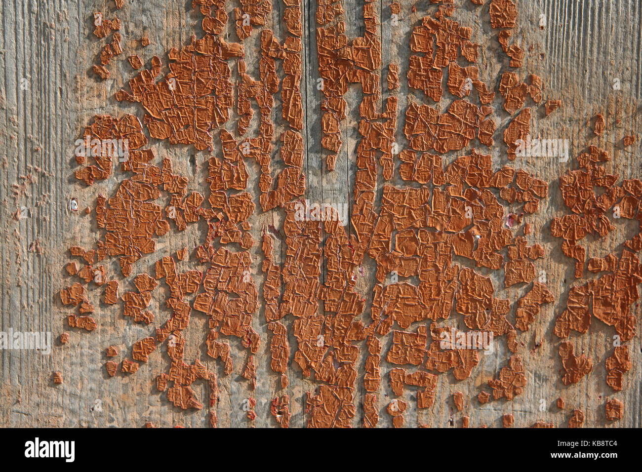 Hintergrund Struktur Holz - Background texture bois Banque D'Images