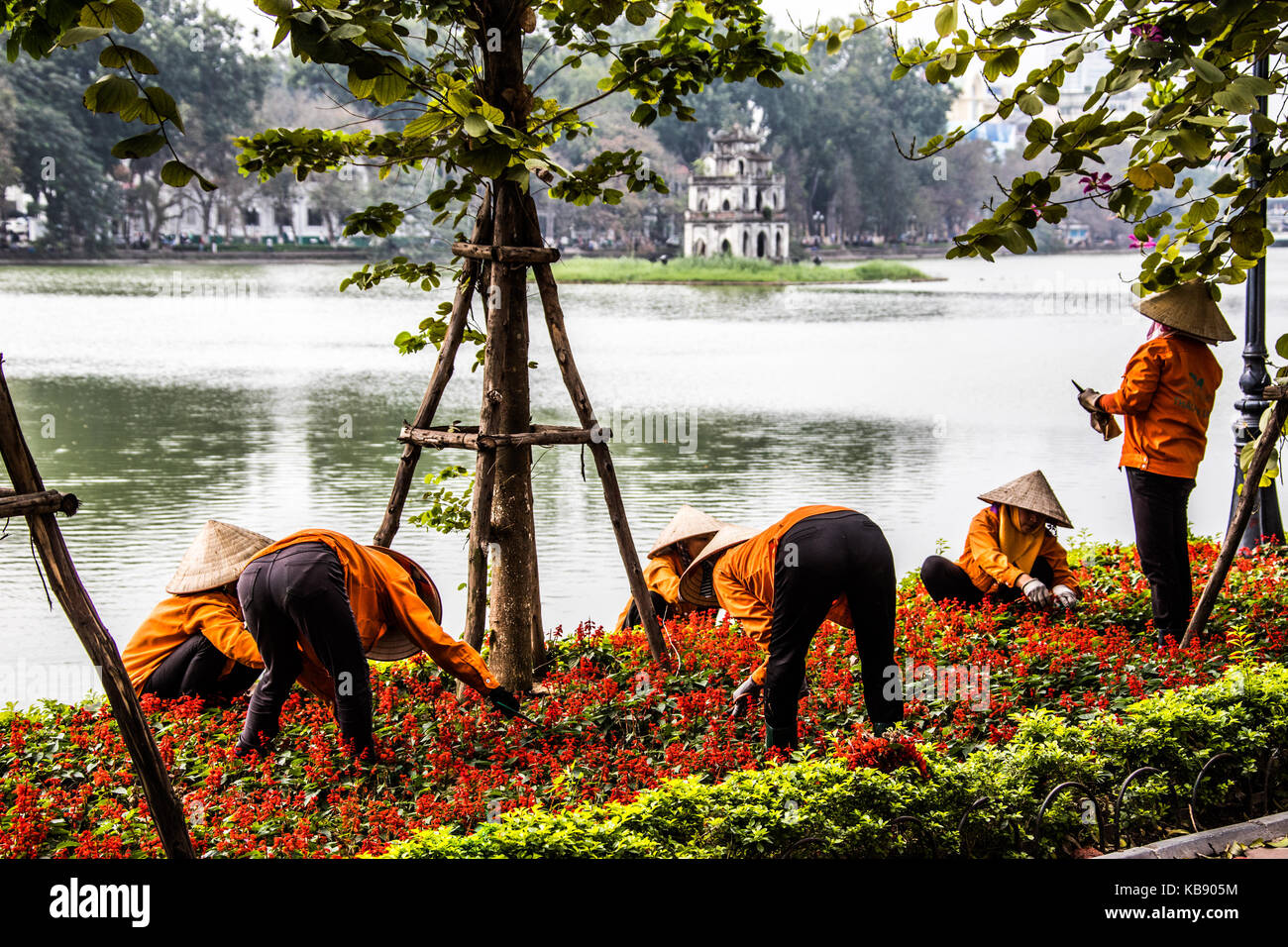 Les femmes ayant tendance fleurs en face de Thap Rua temple ou Tour de la tortue, le lac Hoan Kiem, Hanoi, Vietnam Banque D'Images