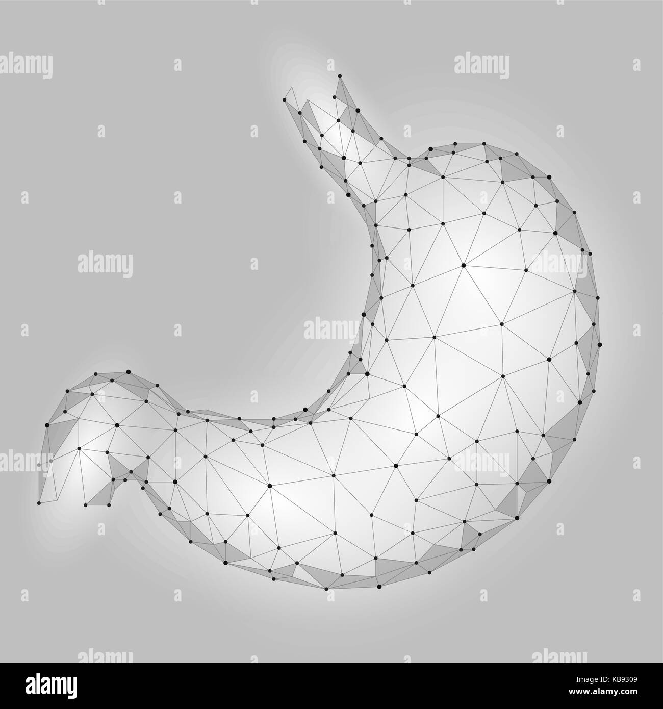 Les droits de l'estomac. saine digestion interne organe. low poly