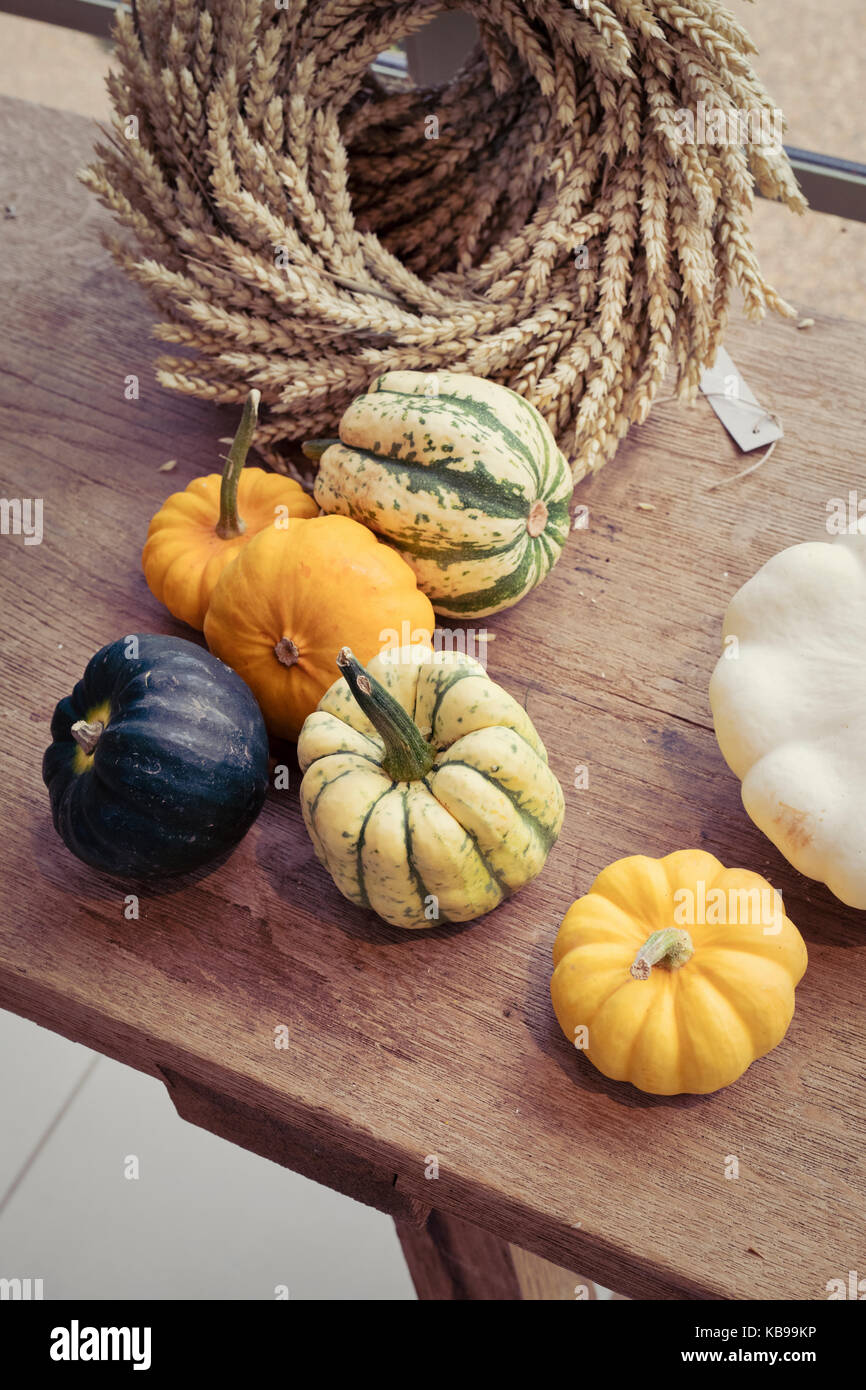 Squash affichage à Daylesford Organic farm shop festival d'automne. Daylesford, Cotswolds, Gloucestershire, Angleterre Banque D'Images