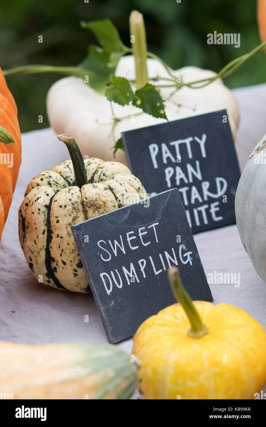 Squash affichage à Daylesford Organic farm shop festival d'automne. Daylesford, Cotswolds, Gloucestershire, Angleterre Banque D'Images