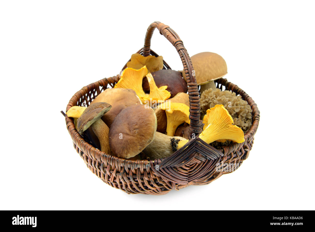 Panier plein de champignons comestibles comme penny bun, girolles, Golden bay boletus et chou-fleur champignon (Sparassis crispa) sur blanc backgroun isolés Banque D'Images