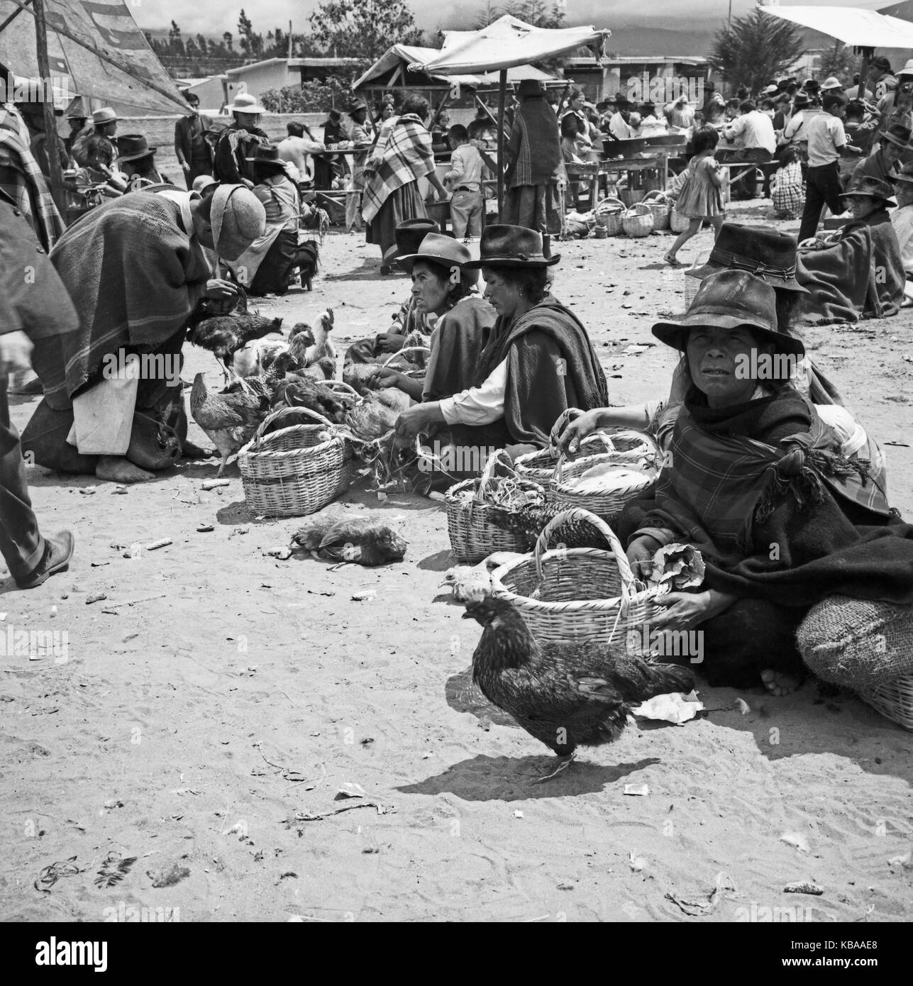 Auf dem Markt in der Stadt Ambato, Équateur 1960 er Jahre. Au marché de la ville d'Ambato, Équateur 1960. Banque D'Images