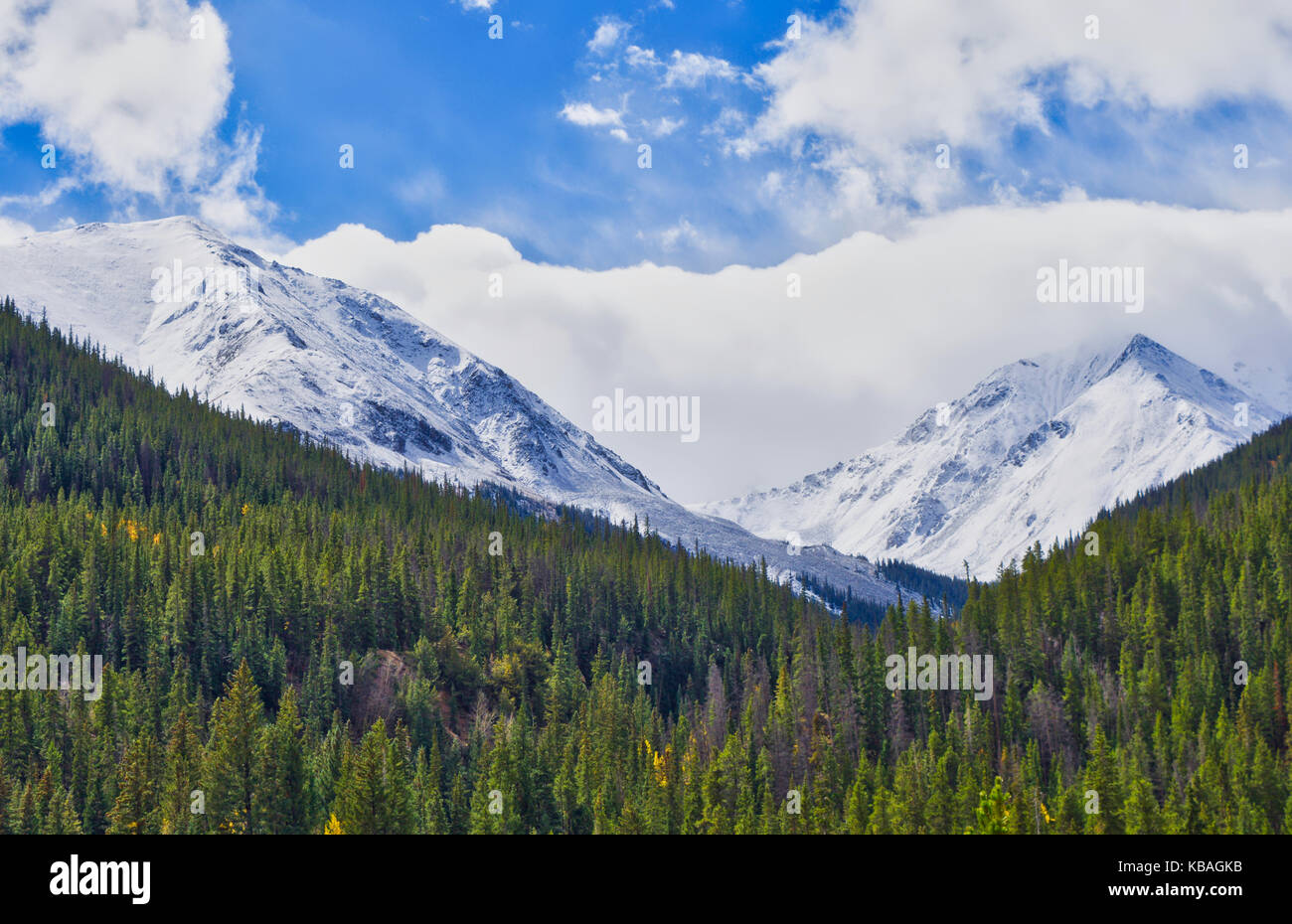 Montagnes Rocheuses du Colorado Sommets enneigés Banque D'Images