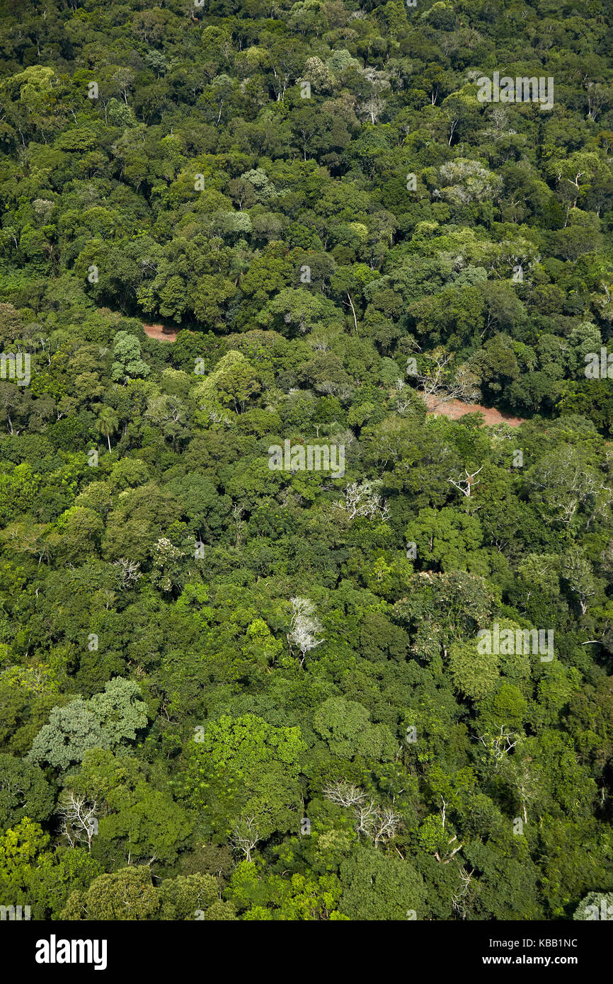 Forêt tropicale, Parc national d'Iguaçu par les chutes d'Iguaçu, État de Parana, Brésil, Amérique du Sud - aérien Banque D'Images