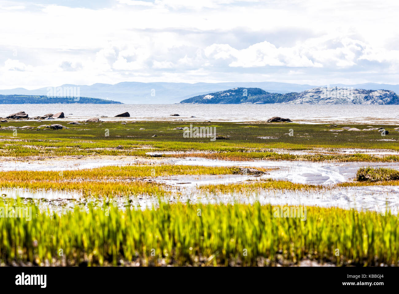 Saint Lawrence River beach, à Kamouraska, Québec, Canada avec de l'herbe, l'eau peu profonde et les flaques, et les grands blocs de roche Banque D'Images