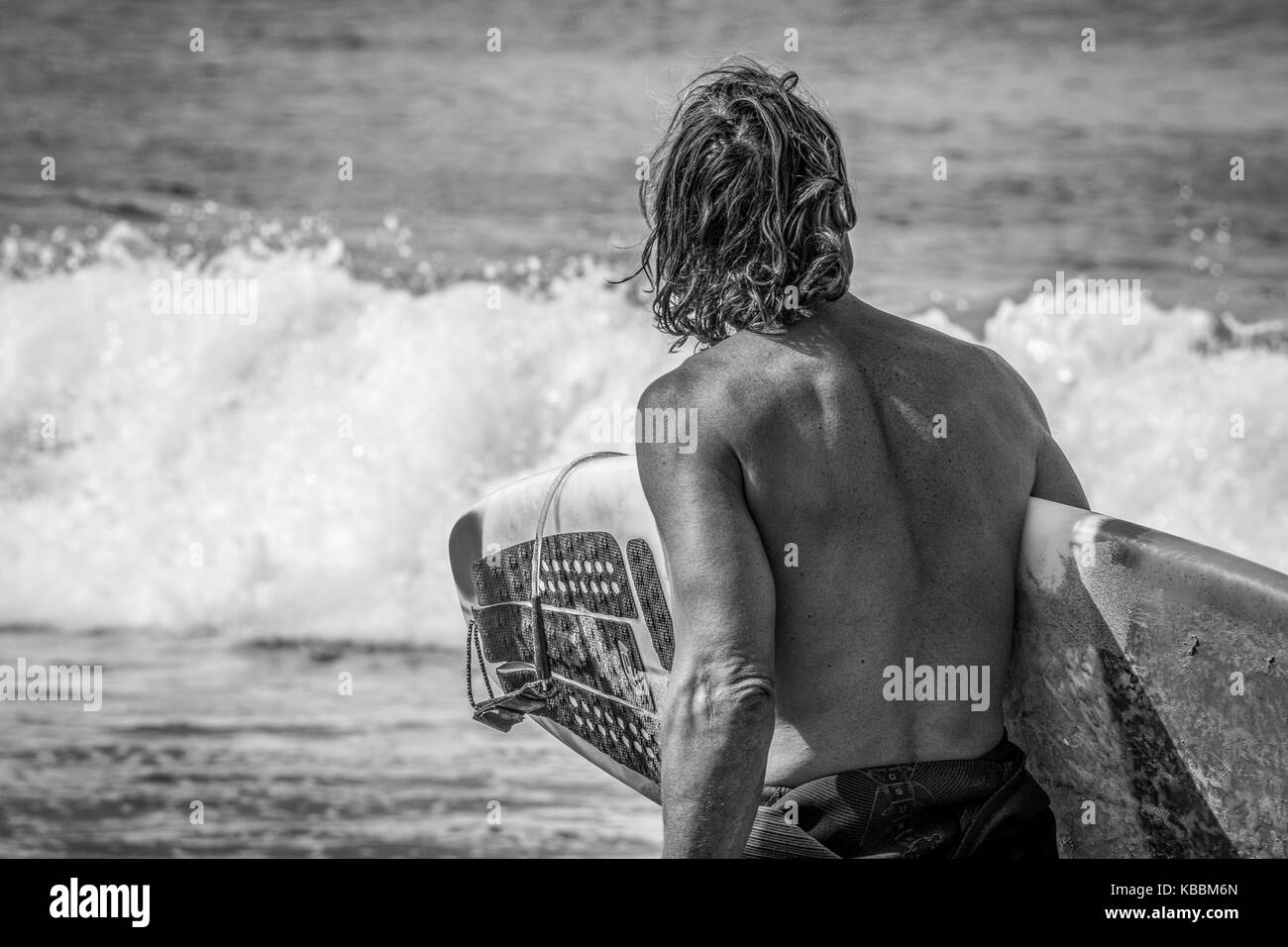 Un internaute examine les conditions de surf lorsqu'il entrera dans l'océan Pacifique au large de Cape Kiwanda, Pacific City, Oregon, United States. Banque D'Images