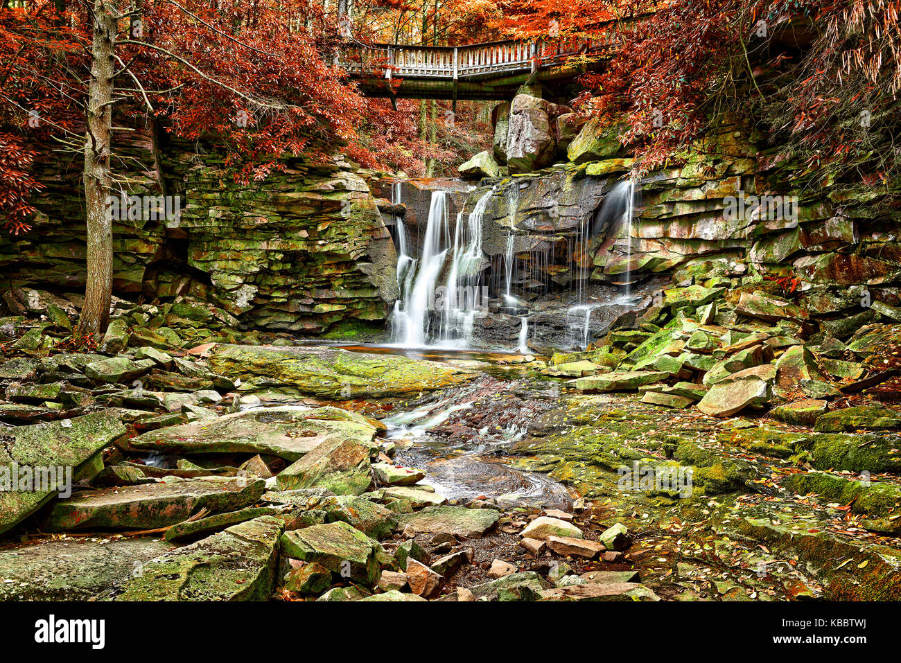 Elakala cascade dans le parc d'état de Blackwater Falls en Virginie de l'Ouest au cours de l'automne avec les feuilles rouges feuillage Banque D'Images