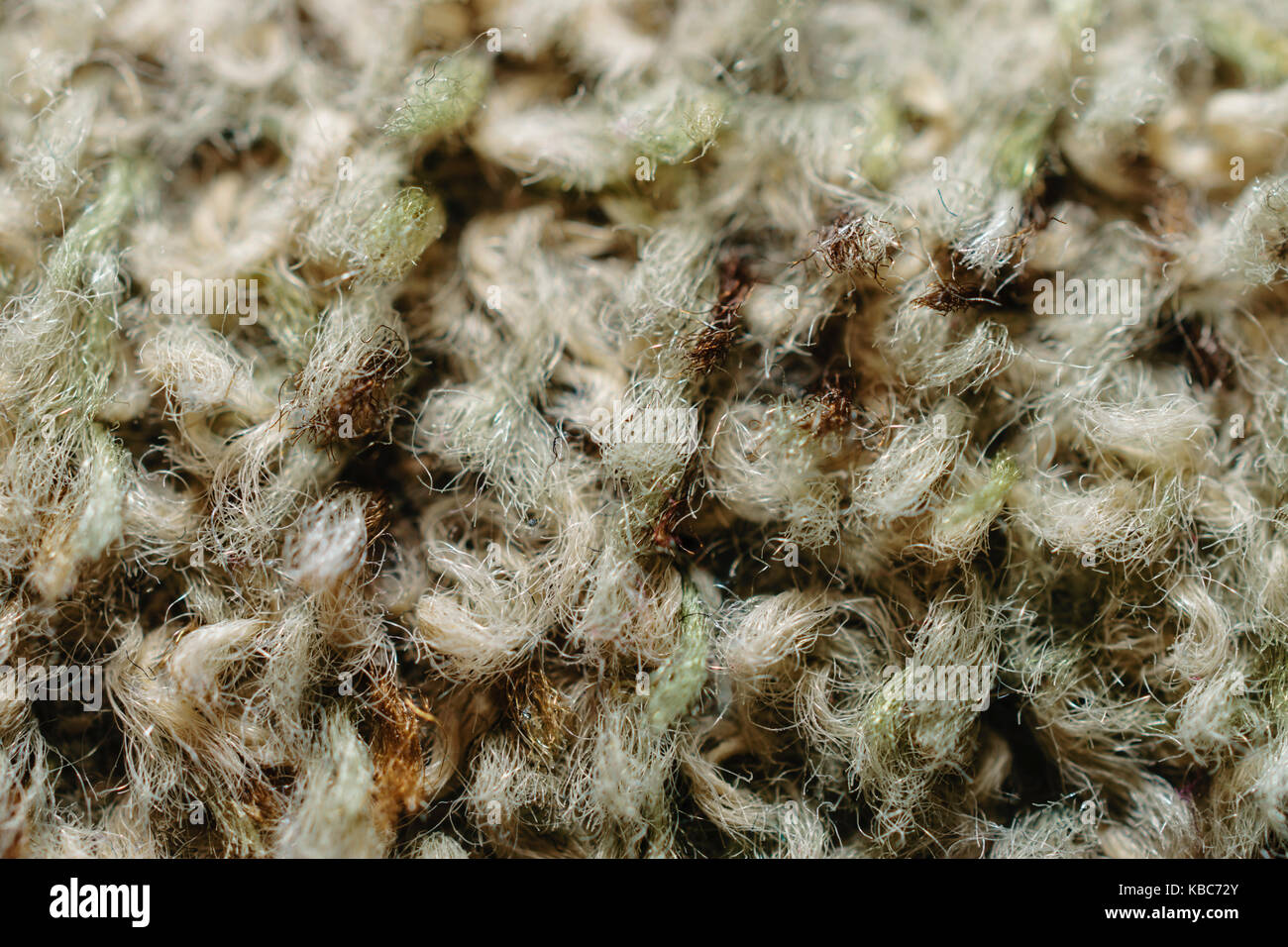 Extreme close-up de vert olive pâle motif tissé en fibres Banque D'Images