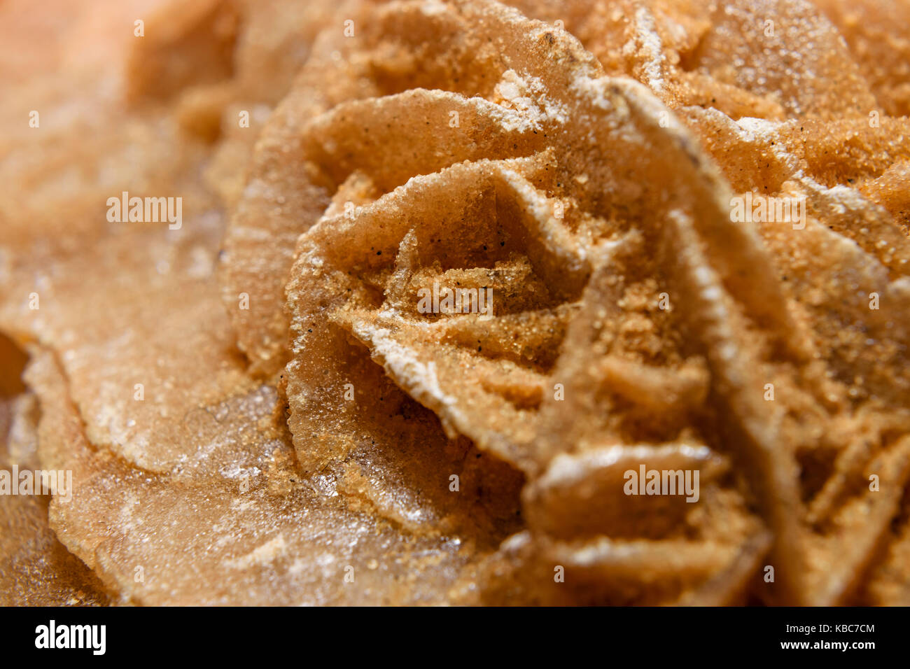 Extreme close-up de sélénite de sable rose ou Rose du désert du sahara Banque D'Images